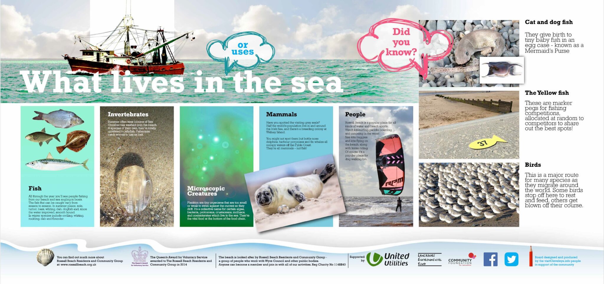 Information about what lives in the sea